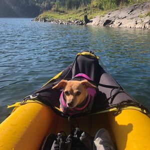 Meet your Posher, Rhonda